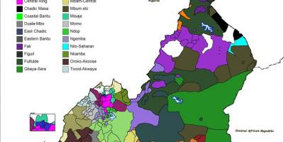 Карта на Камерун език