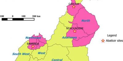 С участието на региони Камерун картата